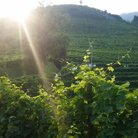 Nel Cuore Del Prosecco Superiore Docg * Valdobbiadene