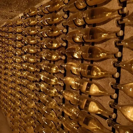 Nel Cuore Del Prosecco Superiore Docg Apartament