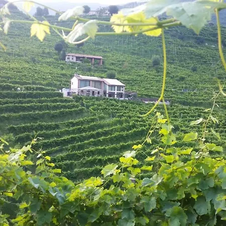 Nel Cuore Del Prosecco Superiore Docg