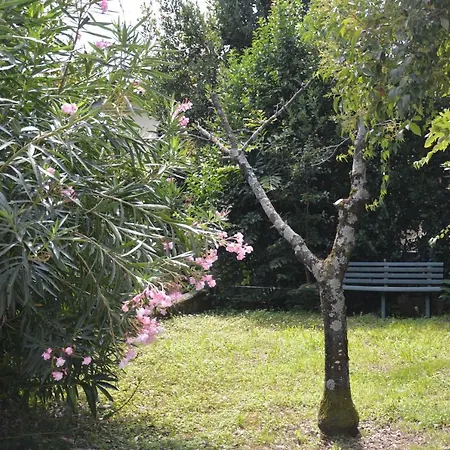 Apartamento Nel Cuore Del Prosecco Superiore Docg Valdobbiadene
